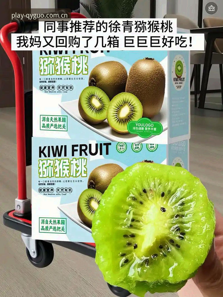 奇异果官网深度解析与使用指南