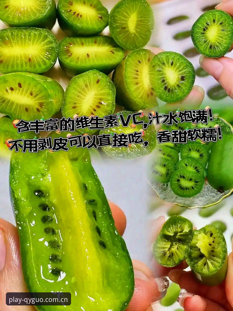 奇异果体育入口全面解析：从下载体验到创新玩法